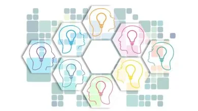 La Innovación Disruptiva e Incremental