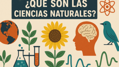 Qué son las Ciencias Naturales