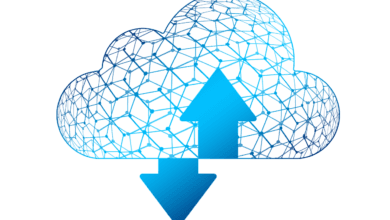 Bases de Datos en Red