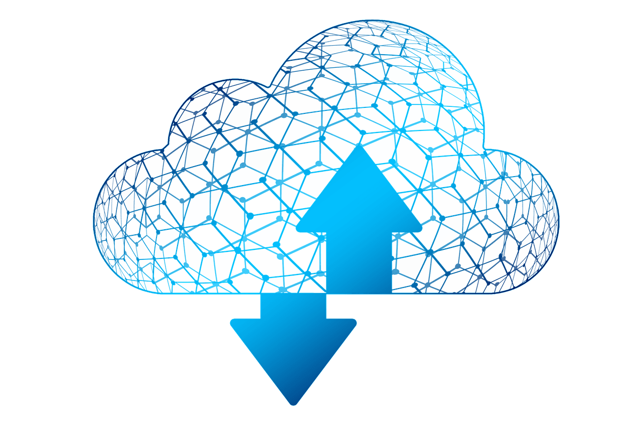 Bases de Datos en Red