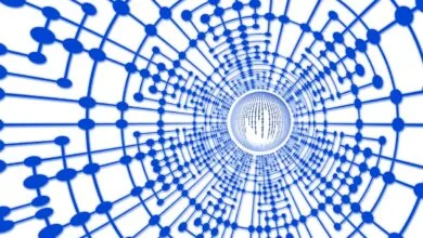 qué son gestores de bases de datos