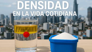 Ejemplos de Densidad en la Vida Cotidiana