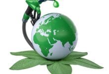 5 recursos naturales renovables