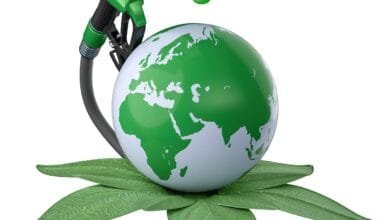 5 recursos naturales renovables