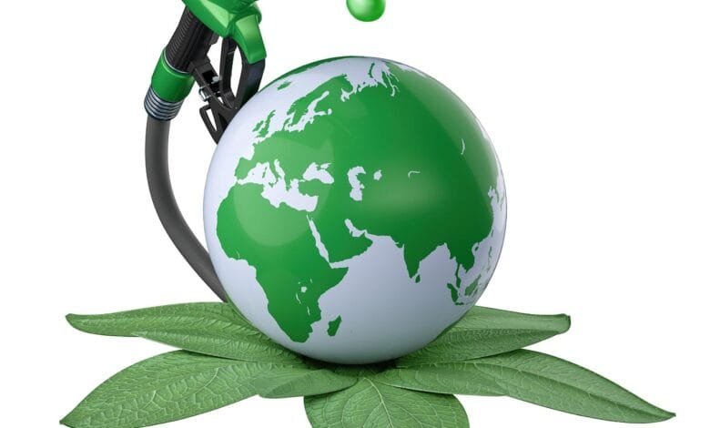 5 recursos naturales renovables
