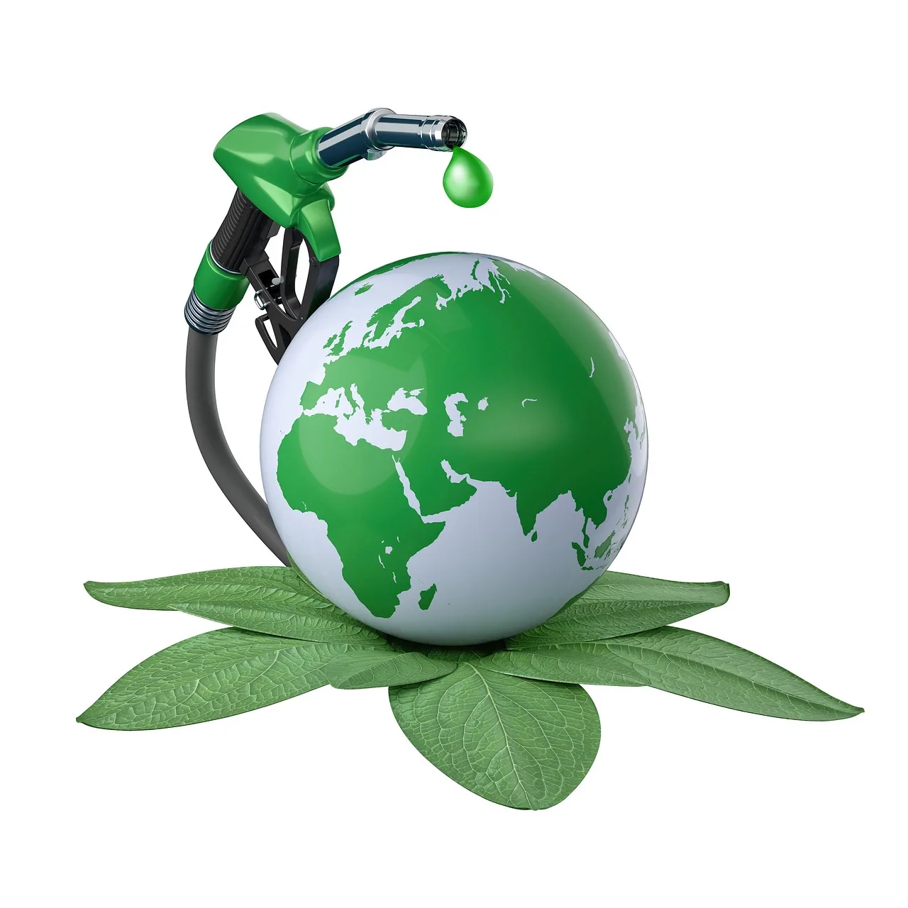 5 recursos naturales renovables
