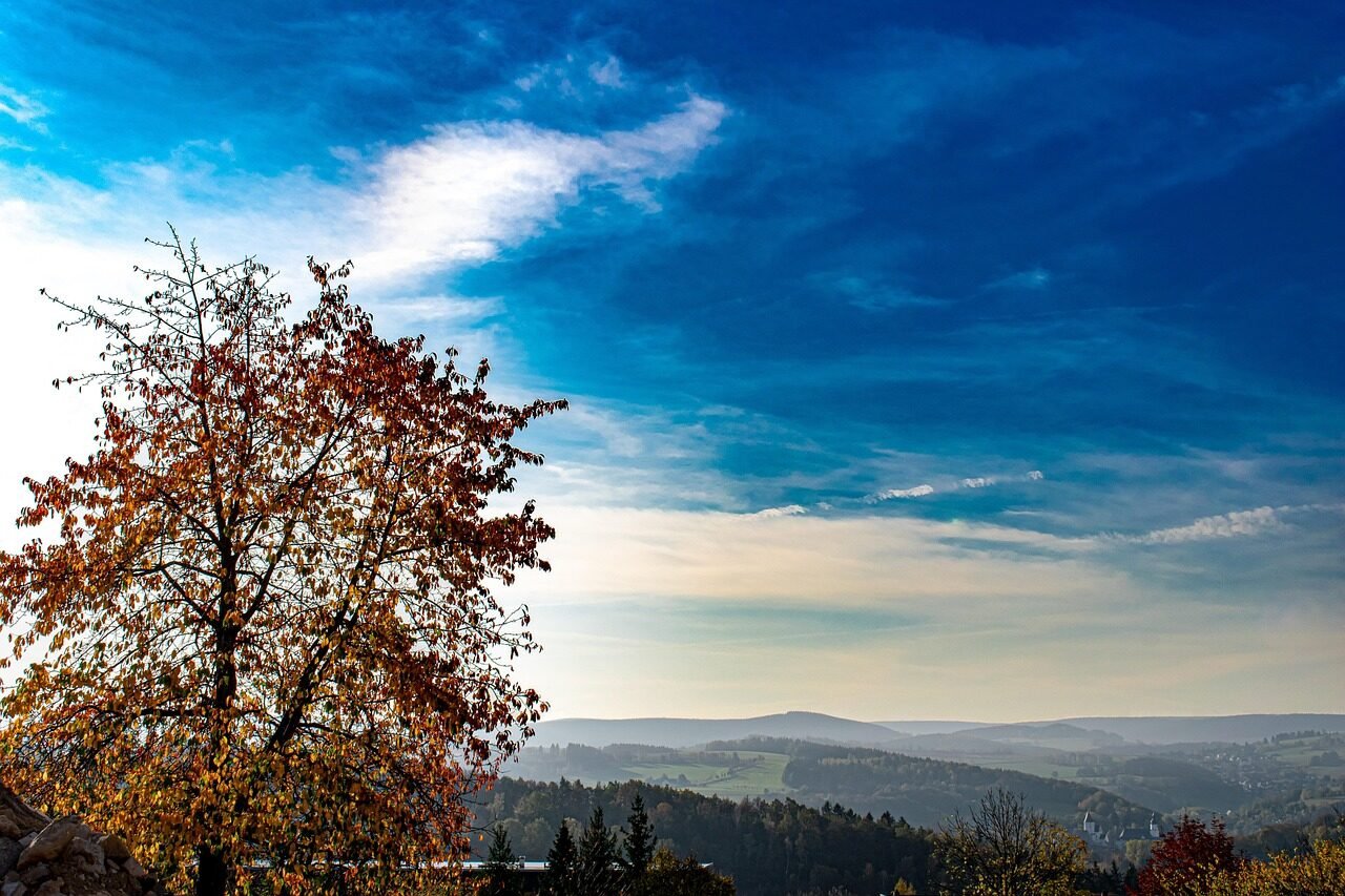 Consejos para el cuidado del medio ambiente